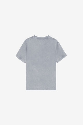 Grey Champions Vintage Ringer Tee